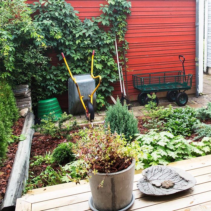 Plantering på innegården