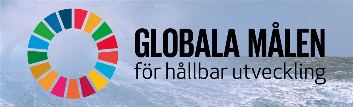 Globala mål för hållbar utveckling