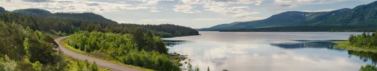 view of trees, lake and mountains