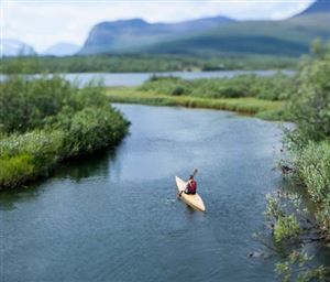 en kanotist som paddlar i en flod omgiven av grönska