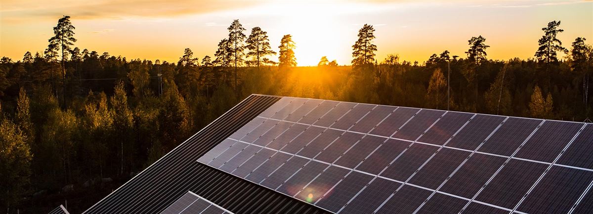 Ett tak med solceller, i bakrunden syns en solnedgång.