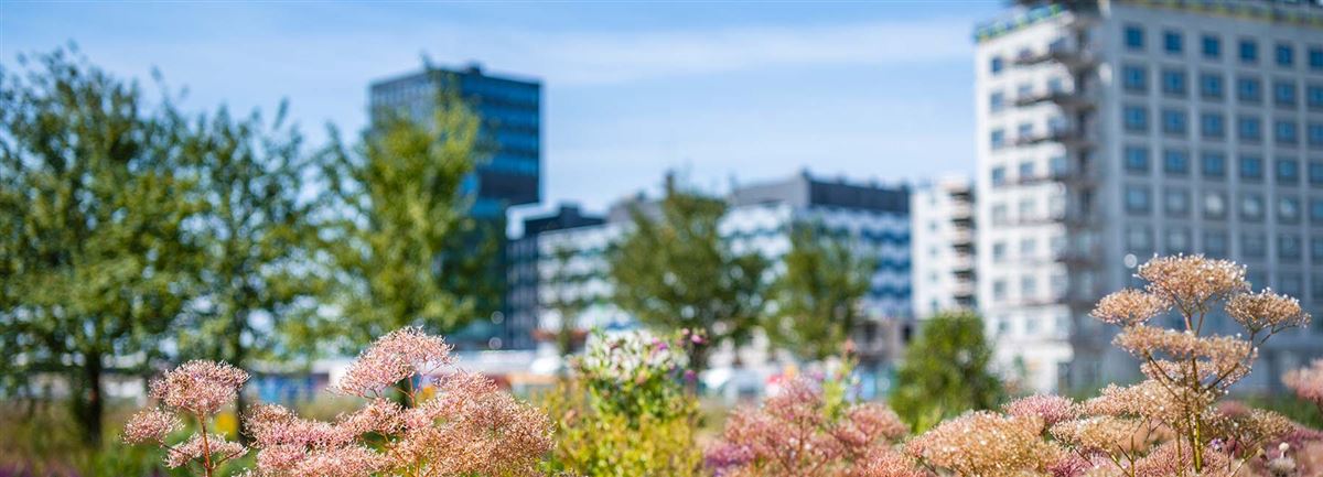 Bild på bostadsrättsförening för att illustrera energispartips för BRF