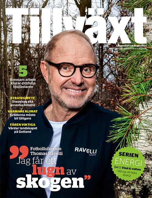 Bild på tidningen tillväxt