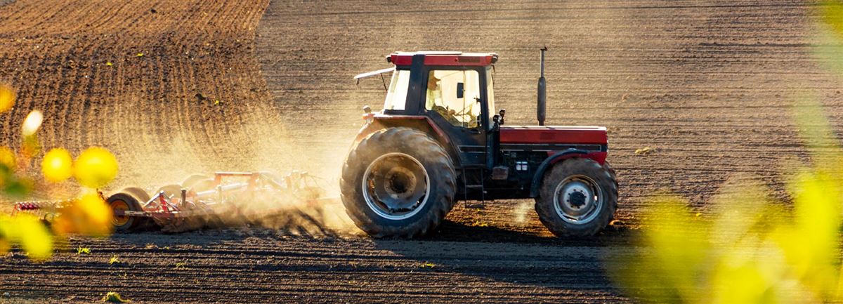 Traktor går med plog på ett fält. Jorden ska förberedas.