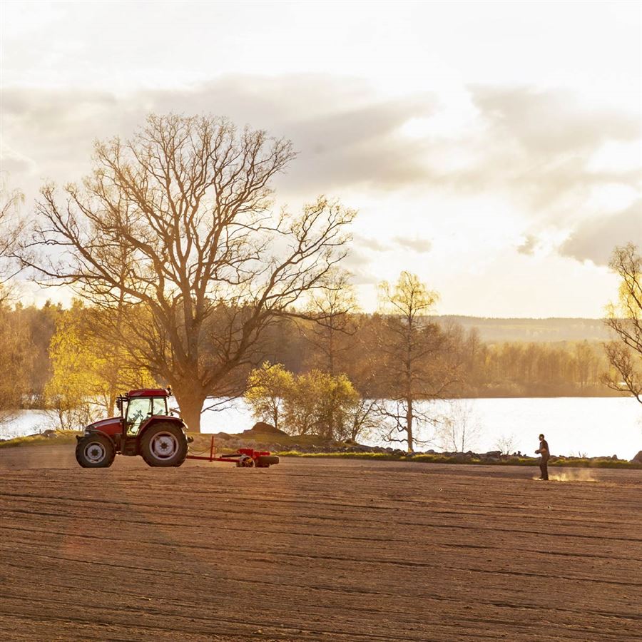 En traktor på en åker. 