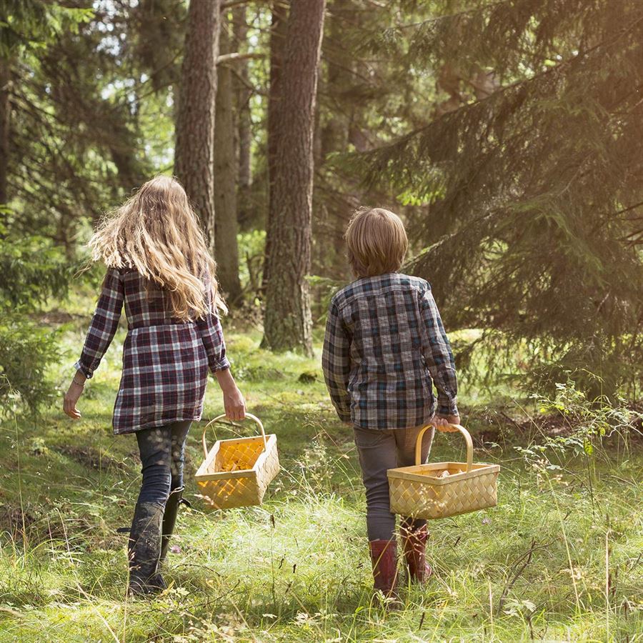 Två barn som promenerar i en skog.