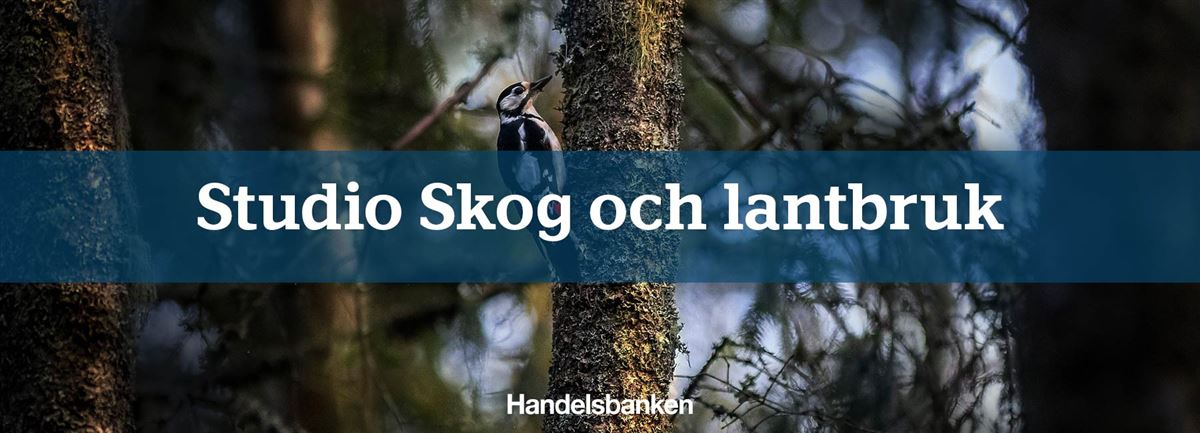 Handelsbanken.se