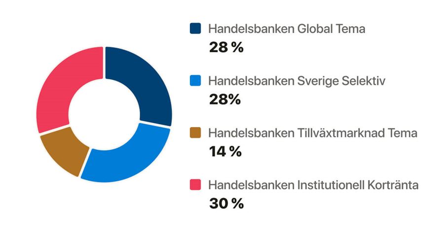 Cirkeldiagram över fondfördelning vid 65 år