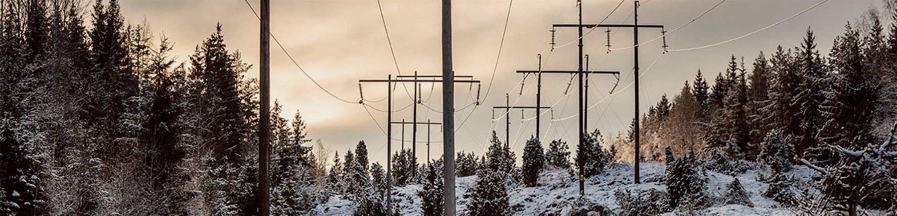 Kraftledningar i vinterlandskap. 