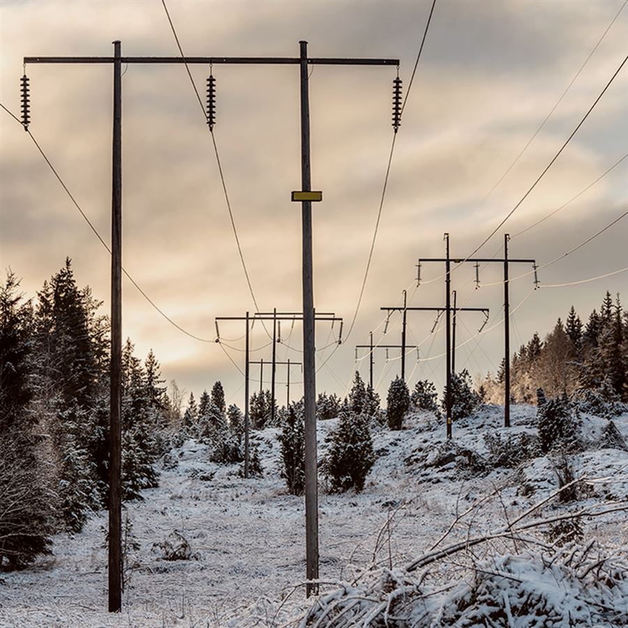 Elstolpar i vinterlandskap.