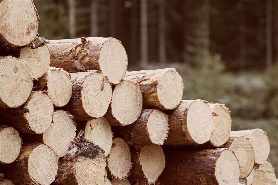 Timmerstockar staplade på varandra.