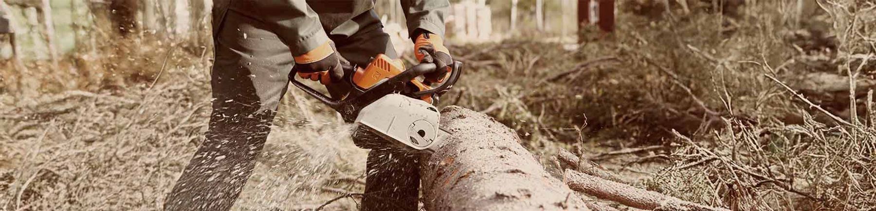 Man sågar ett träd i skogen.