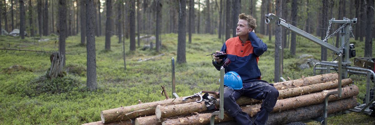 Man sitter på trästockar i skogen