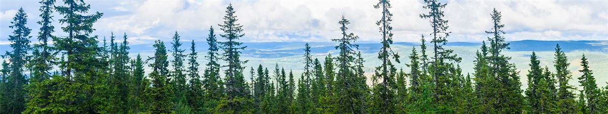 view of trees and mountains