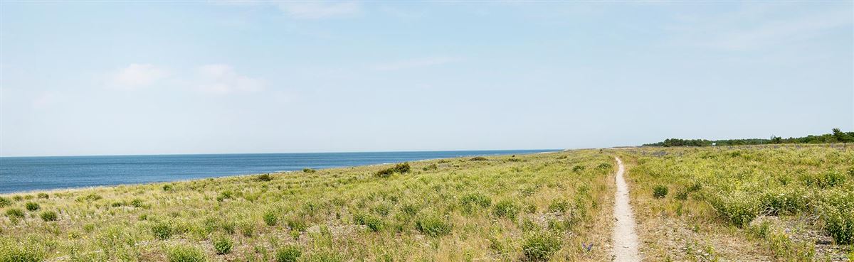 walkingpath along the ocean