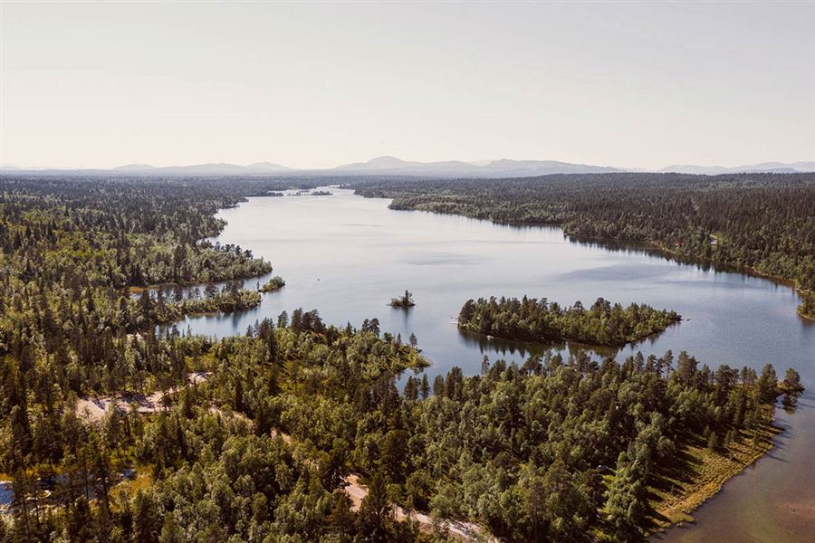 A large lake surrounded by forest as seen from above. 